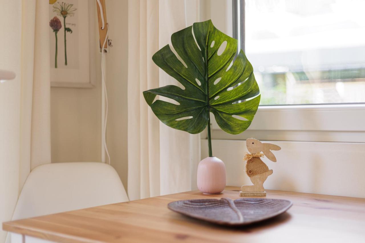 Aloe Apartments Korfu Dış mekan fotoğraf