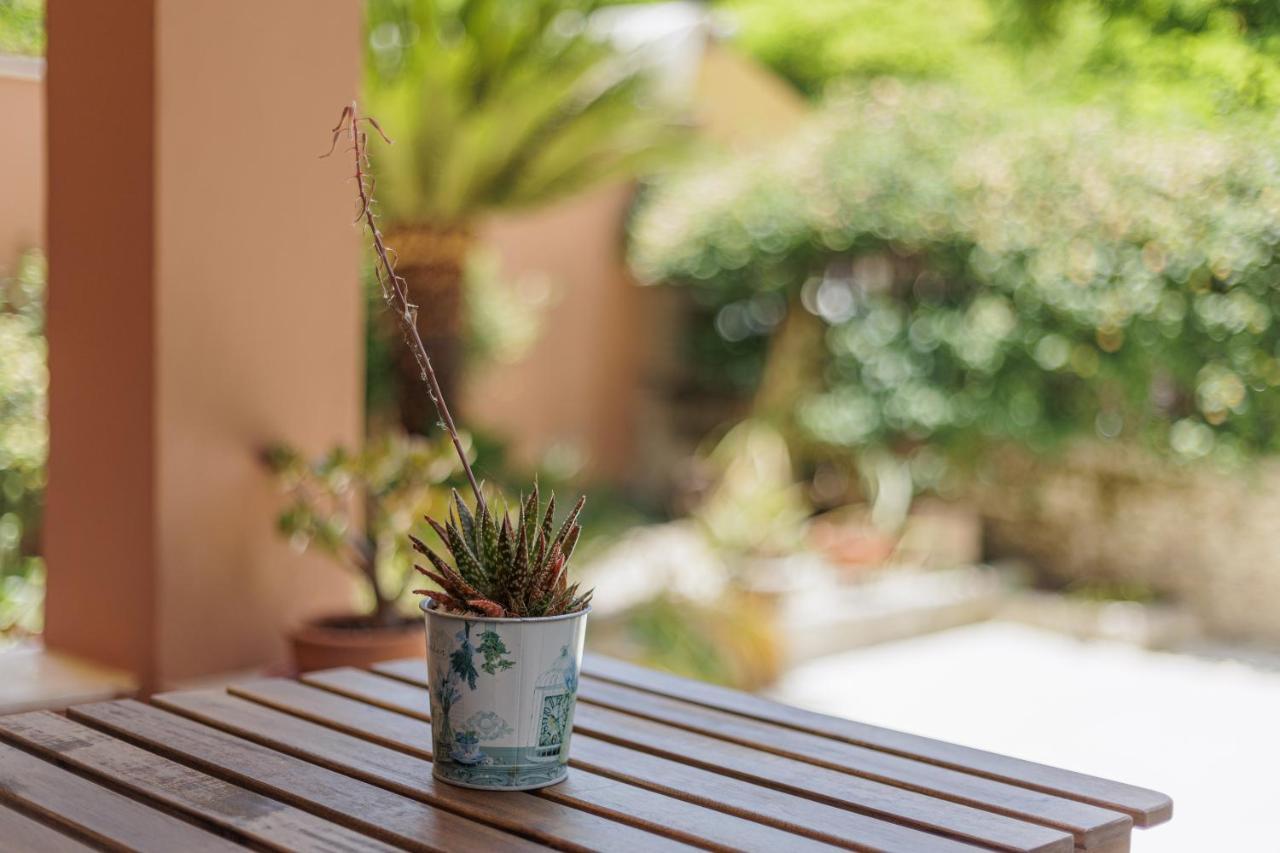 Aloe Apartments Korfu Dış mekan fotoğraf